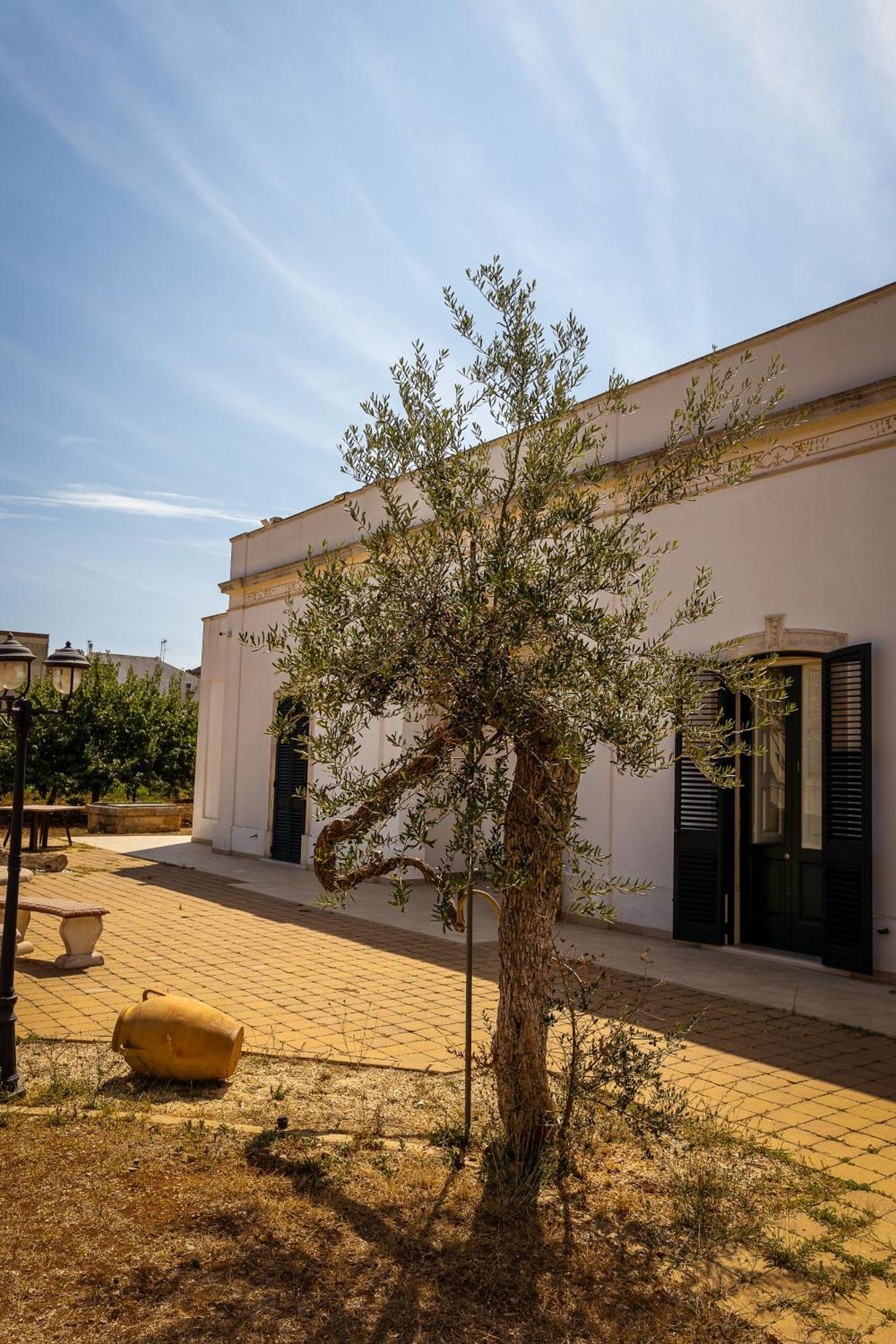 Affittacamere Giardino Delle Zie-Vicino Ospedale Cardinale Panico Tricase Exterior foto